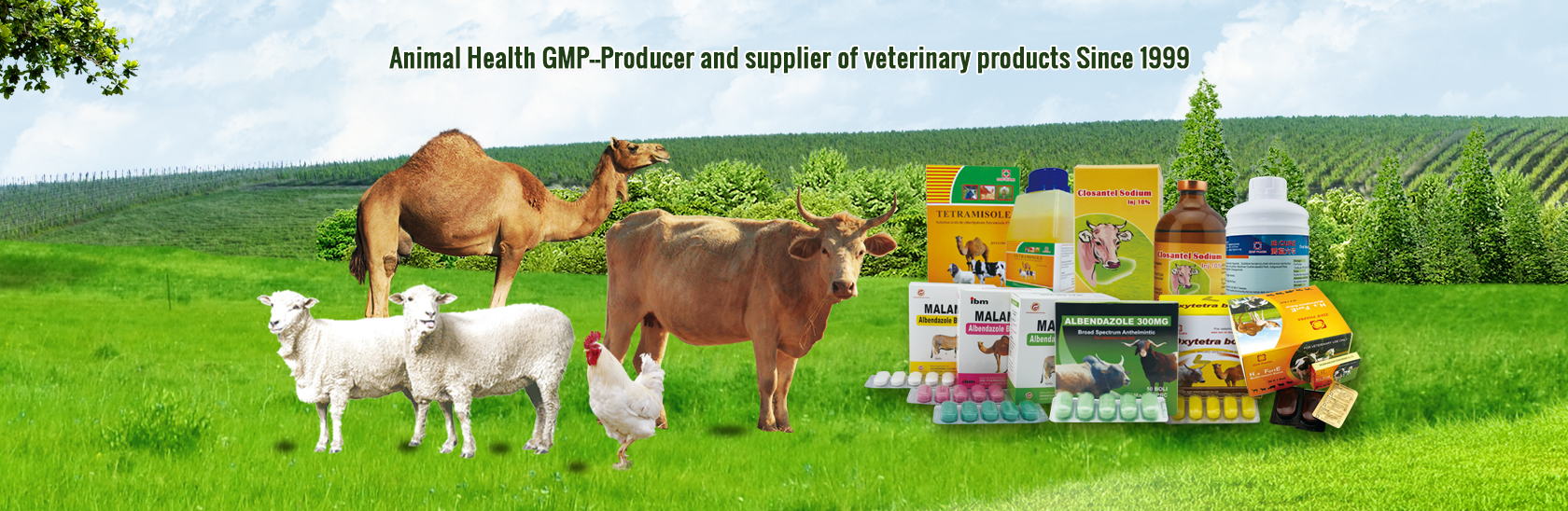 Veterinary Products