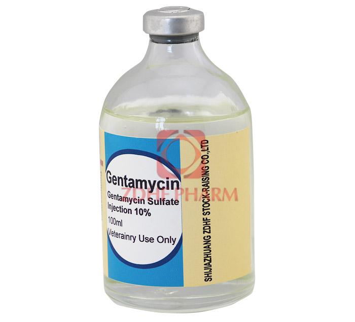 Gentamycin sulphate Injection