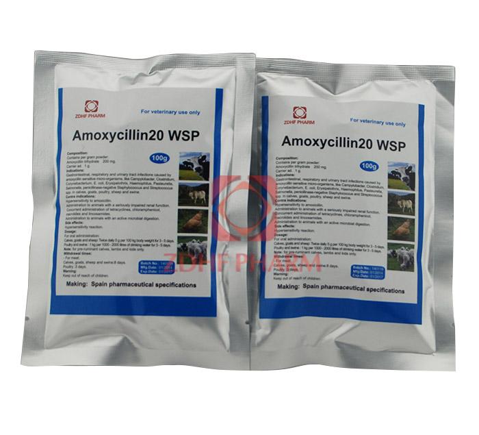 Amoxycillin20 WSP