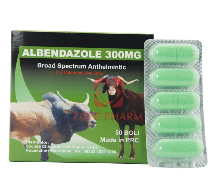 ALBENDAZOLE 300MG