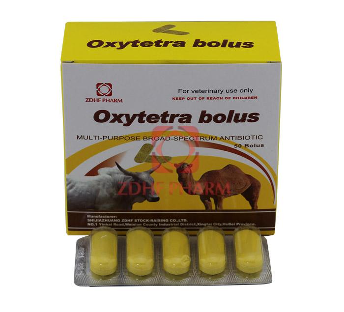 Oxytetracycline  Bolus	